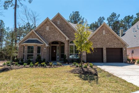 New construction Single-Family house 139 Stellar Hills Court, Willis, TX 77318 - photo 0