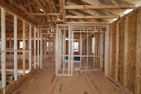 New construction Single-Family house 32556 Sapna Chime Drive, Wesley Chapel, FL 33545 Dali- photo 19 19