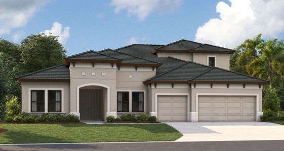 New construction Single-Family house 10517 Meadowrun Drive, Lithia, FL 33547 - photo 0