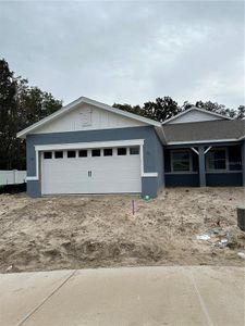 New construction Single-Family house 13604 Splashing Isla Drive, Winter Garden, FL 34787 - photo 0