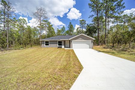 New construction Single-Family house 117 Nw Sparrow Road, Dunnellon, FL 34431 - photo 58 58