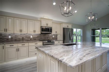 New construction Single-Family house 6437 Sw 180Th Circle, Dunnellon, FL 34432 - photo 8 8