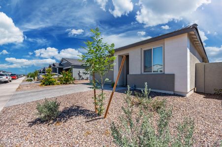 New construction Single-Family house 11231 E Unger Avenue, Mesa, AZ 85212 - photo 42 42