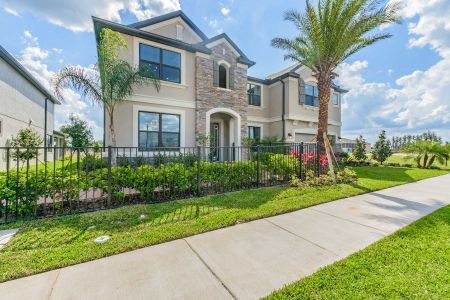 New construction Single-Family house 10803 Rolling Moss Road, Tampa, FL 33647 Grandsail  III- photo 5 5