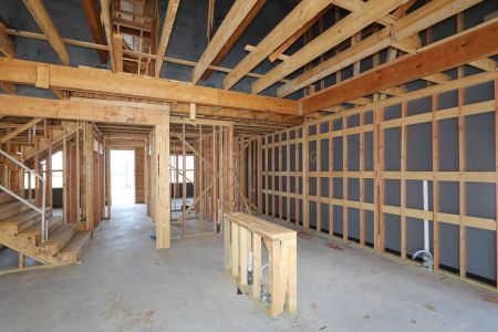 New construction Single-Family house 796 Faith Bud Lane, Lavon, TX 75166 Malmo- photo 13 13
