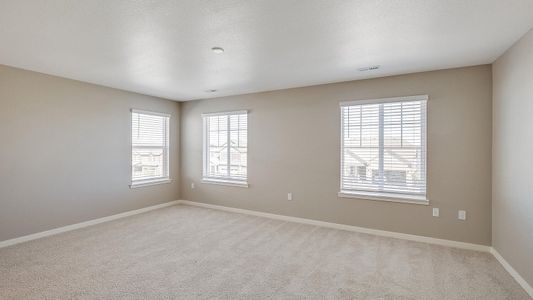 New construction Single-Family house 6525 12Th St, Frederick, CO 80530 BELLAMY- photo 15 15