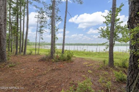 New construction Single-Family house 1540 Baden Powell Road, Hawthorne, FL 32640 - photo 33 33