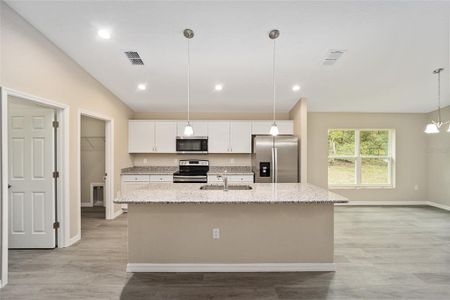 New construction Single-Family house 20315 Sw 102Nd Street Road, Dunnellon, FL 34431 - photo 7 7