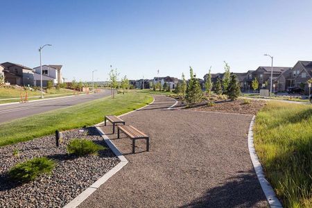 New construction Single-Family house 8926 Whiteclover Street, Littleton, CO 80125 Plan 5- photo 12 12