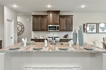 New construction Single-Family house 1237 Richard Pittmon Drive, DeSoto, TX 75115 - photo 15 15