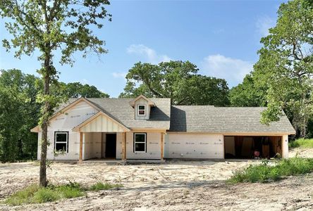 New construction Single-Family house 105 Monarch Lane, Poolville, TX 76487 - photo 0