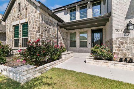 New construction Single-Family house 3645 Platte River Trail, Prosper, TX 75078 - photo 3 3