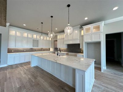 New construction Single-Family house 553 Royal Santana Run, Weatherford, TX 76087 - photo 8 8