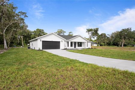 New construction Single-Family house 716 County Road 533, Sumterville, FL 33585 - photo
