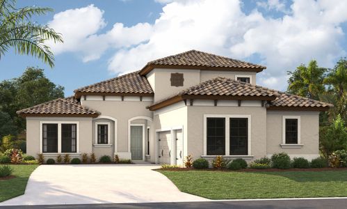 New construction Single-Family house 12832 Twin Bridges Drive, Riverview, FL 33579 - photo 2