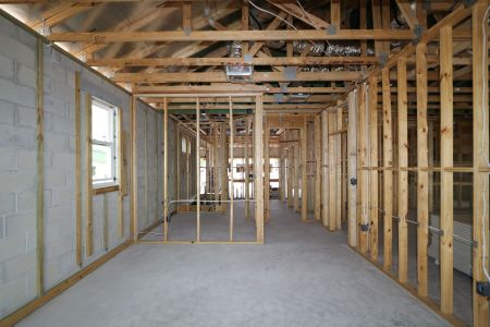 New construction Single-Family house 2486 Clary Sage Drive, Spring Hill, FL 34609 Santa Monica- photo 69 69