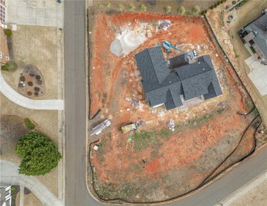 New construction Single-Family house 2445 Sunflower Drive, Hoschton, GA 30548 - photo 8 8