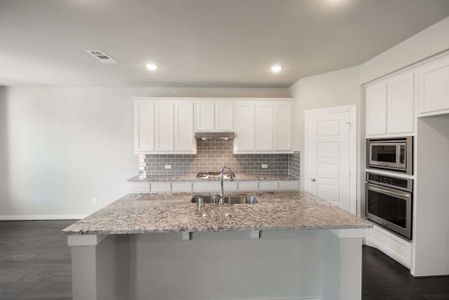 New construction Single-Family house 10208 Cactus Hills, San Antonio, TX 78254 - photo 11 11