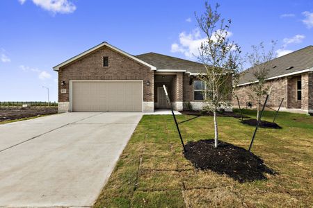 New construction Single-Family house 131 Grand Teton Drive, Kyle, TX 78640 - photo 10 10