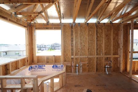 New construction Single-Family house 32556 Sapna Chime Drive, Wesley Chapel, FL 33545 Dali- photo 21 21