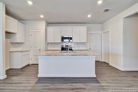 New construction Single-Family house 3560 Alto Stratus, New Braunfels, TX 78130 Landmark Series - Paramount- photo 4 4