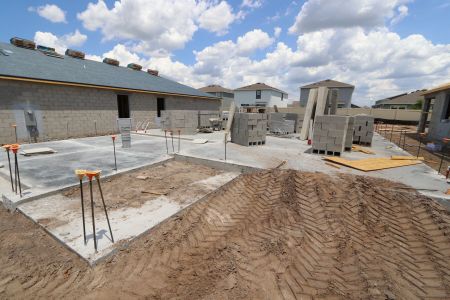 New construction Single-Family house 31801 Sapna Chime Drive, Wesley Chapel, FL 33545 Alenza- photo 3 3