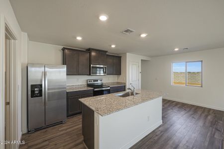 New construction Single-Family house 563 W Crowned Dove Trail, Casa Grande, AZ 85122 - photo 4 4