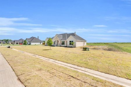 New construction Single-Family house 2411 Maywood Lane, Palmer, TX 75152 - photo 33 33