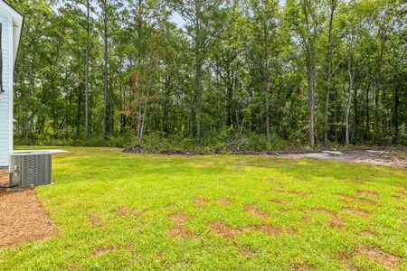 New construction Single-Family house 1421 Brownswood Road, Johns Island, SC 29455 - photo 7 7