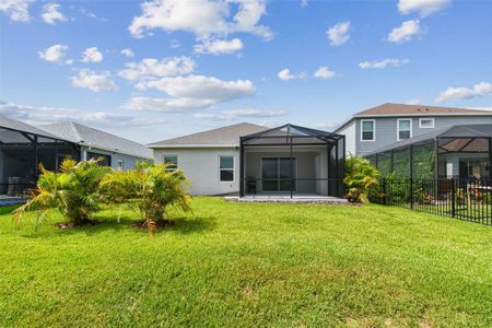 New construction Single-Family house 10417 Crooked Creek Court, Parrish, FL 34219 - photo 28 28