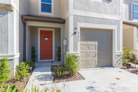 New construction Townhouse house 31915 Blue Passing Loop, Wesley Chapel, FL 33545 - photo 1 1