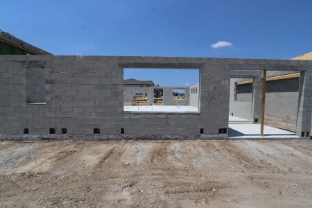 New construction Single-Family house 7690 Hemlock Seed Drive, Wesley Chapel, FL 33545 Sonoma II- photo 4 4