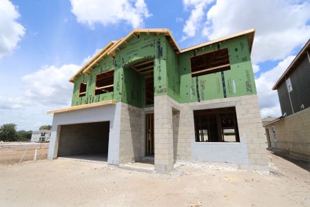 New construction Single-Family house 31823 Sapna Chime Drive, Wesley Chapel, FL 33545 Mira Lago- photo 12 12