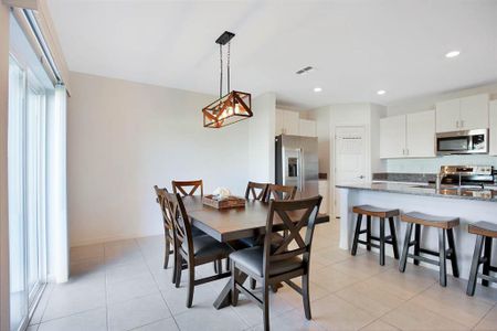 New construction Single-Family house 9908 Spanish Lime Court, Riverview, FL 33578 - photo 8 8
