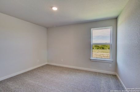 New construction Single-Family house 981 Gray Cloud Drive, New Braunfels, TX 78130 Landmark Series - Meyerson- photo 24 24