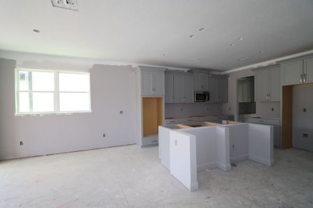 New construction Single-Family house 7795 Notched Pine Bend, Wesley Chapel, FL 33545 Sonoma II- photo 69 69