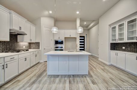 New construction Single-Family house 1631 Dirndl, New Braunfels, TX 78132 Premier Series - Oleander- photo 11 11