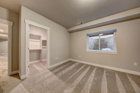 New construction Single-Family house 8412 Cromwell Circle, Windsor, CO 80528 - photo 52 52