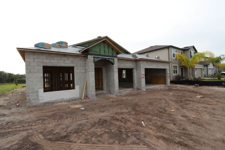 New construction Single-Family house 2941 Marine Grass Drive, Wimauma, FL 33598 Barcello- photo 17 17