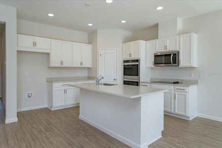 New construction Single-Family house 9125 Cape Cod Road, Deland, FL 32724 Mulberry- photo 2 2