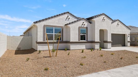 New construction Single-Family house 1167 W. Chimes Tower Drive, Casa Grande, AZ 85122 - photo 5 5