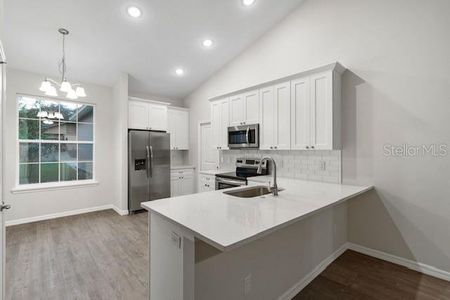 New construction Single-Family house 41408 Tarpon Avenue, Umatilla, FL 32784 - photo 5 5