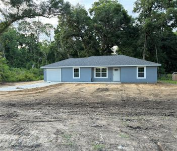 New construction Single-Family house 4217 Se 131St Place, Belleview, FL 34420 - photo 18 18