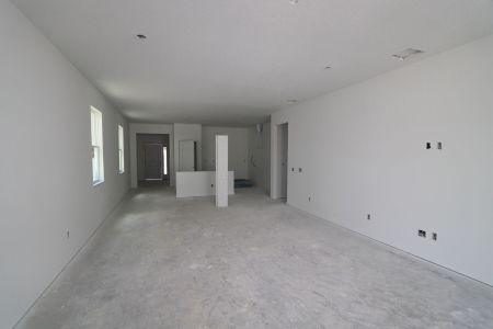 New construction Single-Family house 31843 Sapna Chime Drive, Wesley Chapel, FL 33545 Picasso- photo 68 68