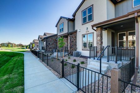 New construction Townhouse house 6248 Vernazza Way, Windsor, CO 80550 - photo 68 68