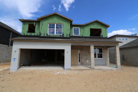 New construction Single-Family house 12078 Hilltop Farms Drive, Dade City, FL 33525 Mira Lago- photo 44 44