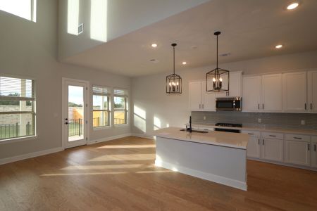 New construction Single-Family house 1037 Pansy Trail, Georgetown, TX 78628 Belmont II- photo 22 22