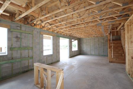 New construction Single-Family house 31852 Sapna Chime Drive, Wesley Chapel, FL 33545 Renau- photo 20 20