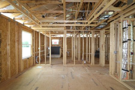 New construction Single-Family house 2857 Misty Marble Drive, Zephyrhills, FL 33540 Castellana- photo 14 14