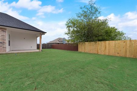 New construction Single-Family house 315 Cherry Point Drive, Palmer, TX 75152 - photo 30 30